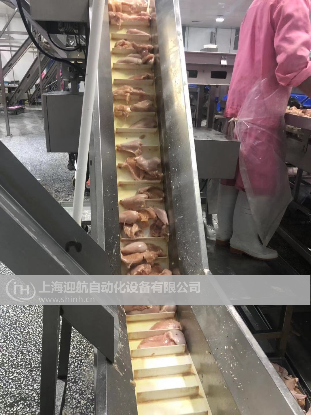肉制品皮帶輸送機